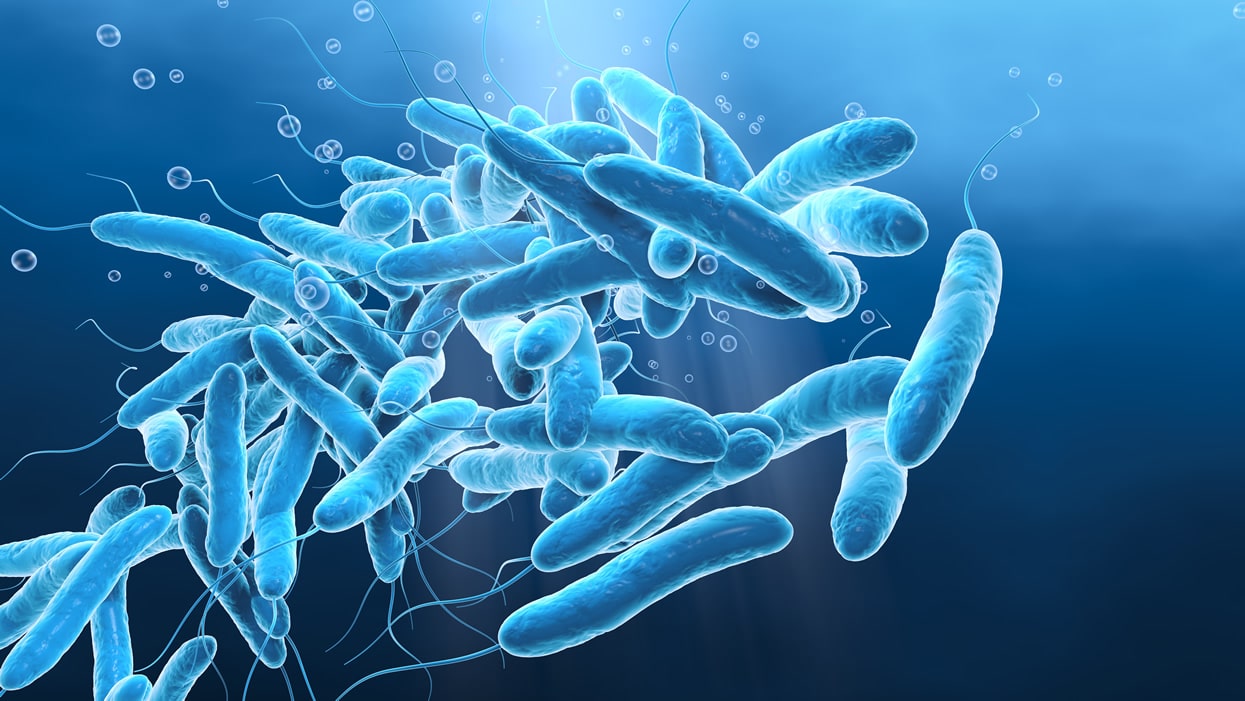 Ilustrace bakterie rodu Legionella